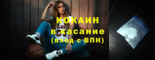крисы Баксан